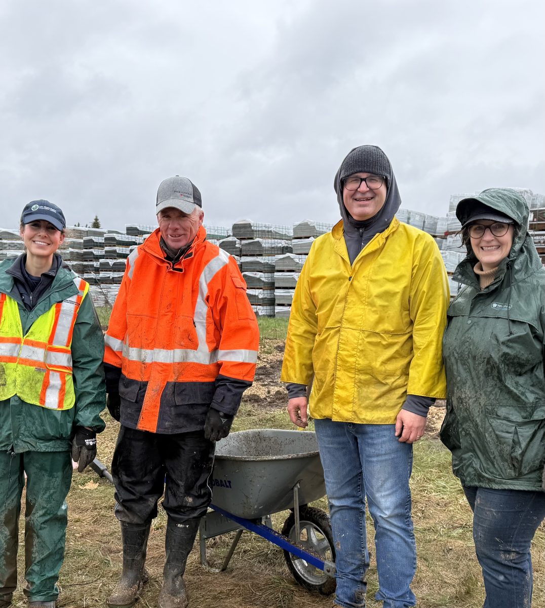 Staff and individuals supported by New Leaf planting trees.