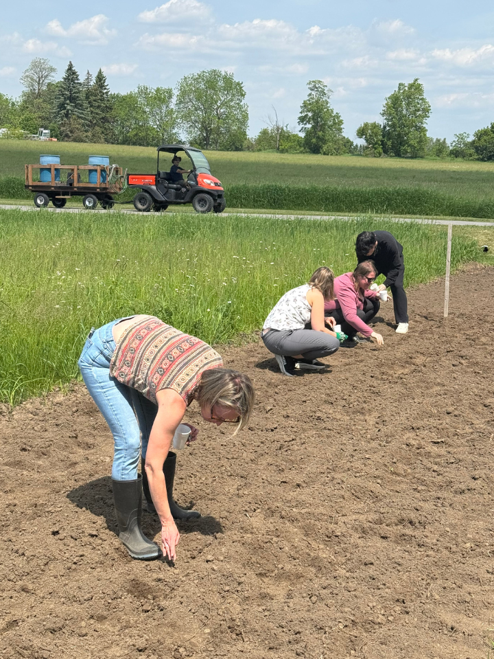 staff gardening